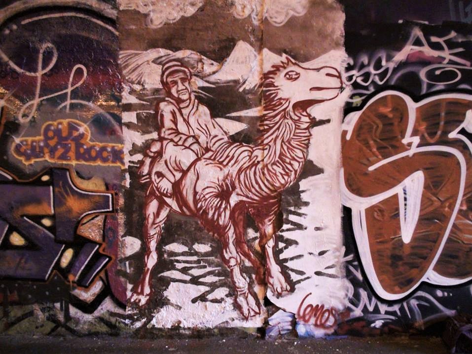 Graff nomad